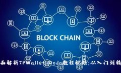 全面解析TPWallet Dodo教程视频：从入门到精通