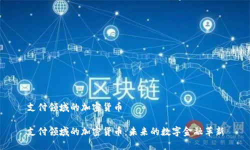 支付领域的加密货币

支付领域的加密货币：未来的数字金融革新
