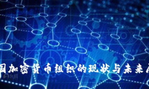 韩国加密货币组织的现状与未来展望