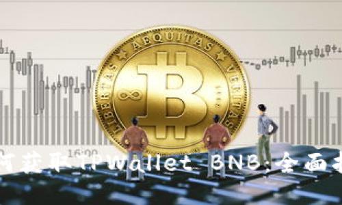 如何获取TPWallet BNB：全面指南