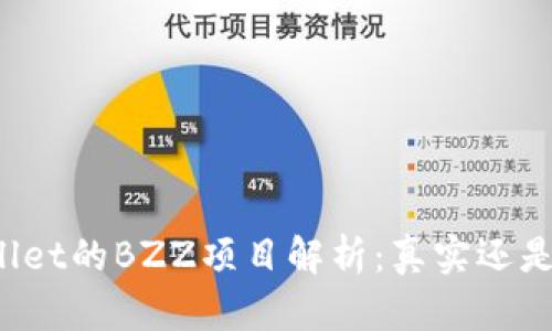 TPWallet的BZZ项目解析：真实还是诈骗？
