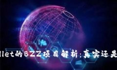 TPWallet的BZZ项目解析：真实还是诈骗？