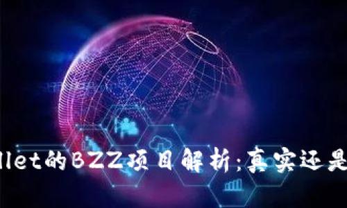 TPWallet的BZZ项目解析：真实还是诈骗？
