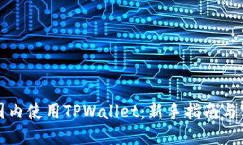 如何在国内使用TPWallet：新手指南与实用技巧