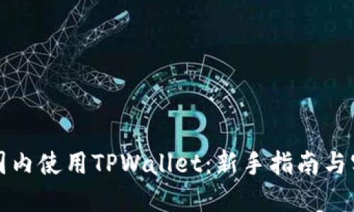 如何在国内使用TPWallet：新手指南与实用技巧