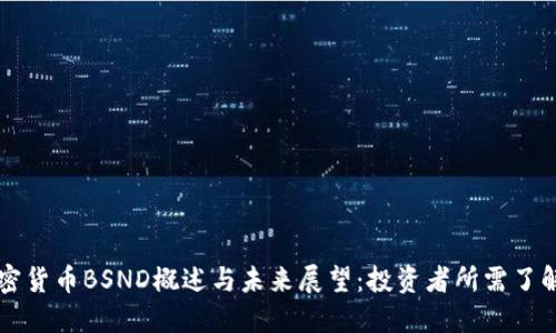 印度加密货币BSND概述与未来展望：投资者所需了解的一切