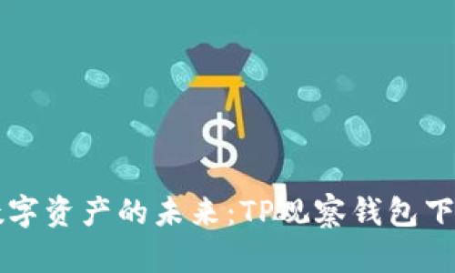 发现数字资产的未来：TP观察钱包下载指南