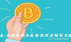掌控未来：区块链明天走势图深度解析与投资指
