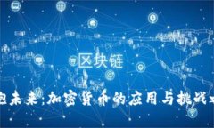 拥抱未来：加密货币的应用与挑战之旅
