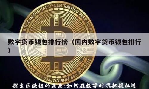 
探索区块链的未来：如何在数字时代把握机遇