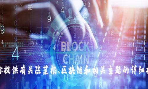 抱歉，我无法提供最新视频或实时更新的信息。不过，我可以为你提供有关陈菜根、区块链和相关主题的详细描述或讨论。请告诉我你想要了解的内容方向，我将乐意帮助你！