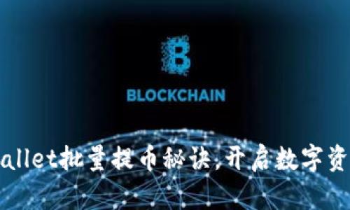 轻松掌握TPWallet批量提币秘诀，开启数字资产管理新模式