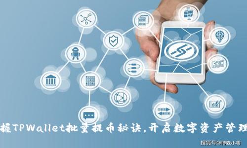轻松掌握TPWallet批量提币秘诀，开启数字资产管理新模式