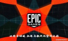 比特币回暖：机遇与挑战的密码之旅