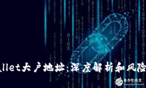 tpwallet大户地址：深度解析和风险规避
