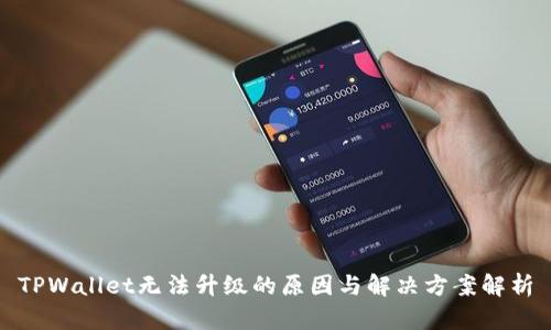 TPWallet无法升级的原因与解决方案解析