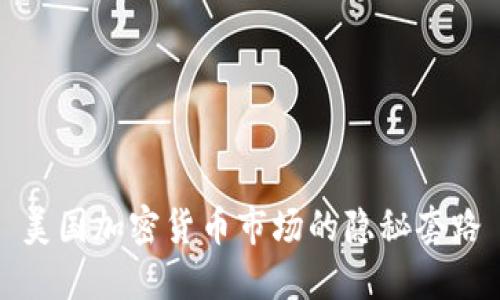 美国加密货币市场的隐秘套路