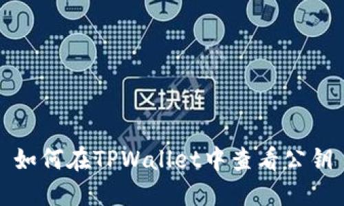 如何在TPWallet中查看公钥