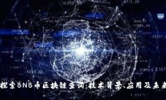 深入探索BNB币区块链查询：技术背景、应用及未