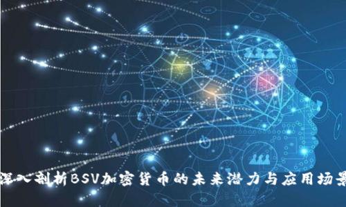 深入剖析BSV加密货币的未来潜力与应用场景