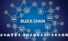 探索未来的数字货币：深圳区块链大会PI币分会场