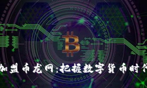 区块链加盟币龙网：把握数字货币时代的机遇