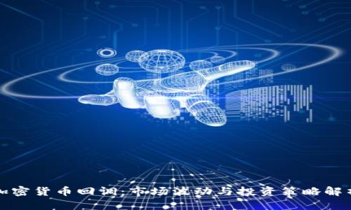 加密货币回调：市场波动与投资策略解析