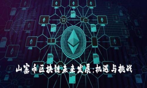 山寨币区块链未来发展：机遇与挑战