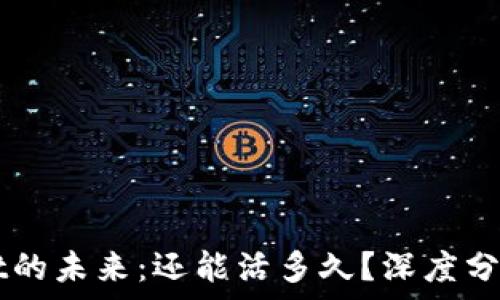   
TPWallet的未来：还能活多久？深度分析与展望