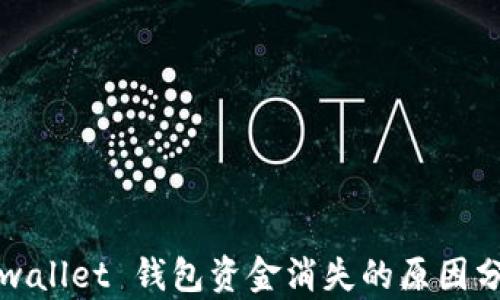 
tpwallet 钱包资金消失的原因分析