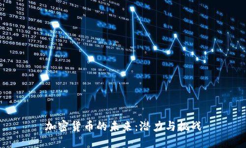 加密货币的未来：潜力与挑战